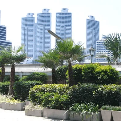 GREEN TERRACE